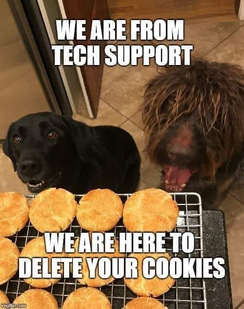 211030 pet owners